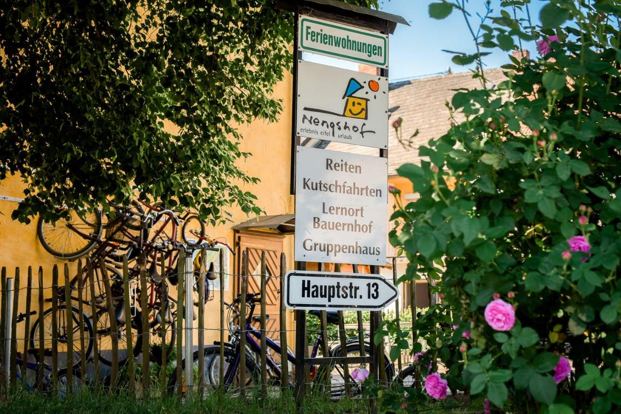 Nengshof Ferienwohnung Wildrose Wissmannsdorf Exterior photo