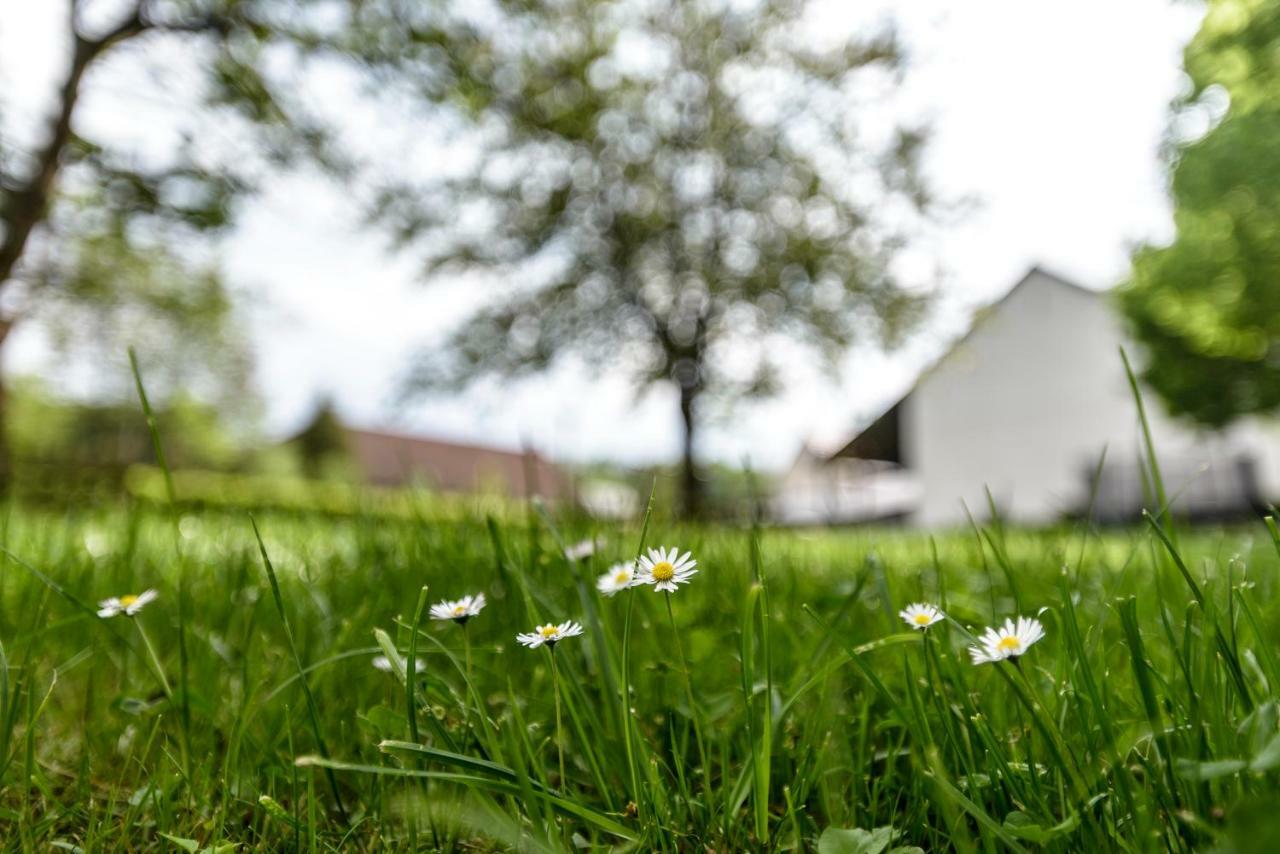 Nengshof Ferienwohnung Wildrose Wissmannsdorf Exterior photo